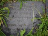 image of grave number 911064